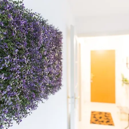 Apartament Au Calme Proche Strasbourg Bischheim